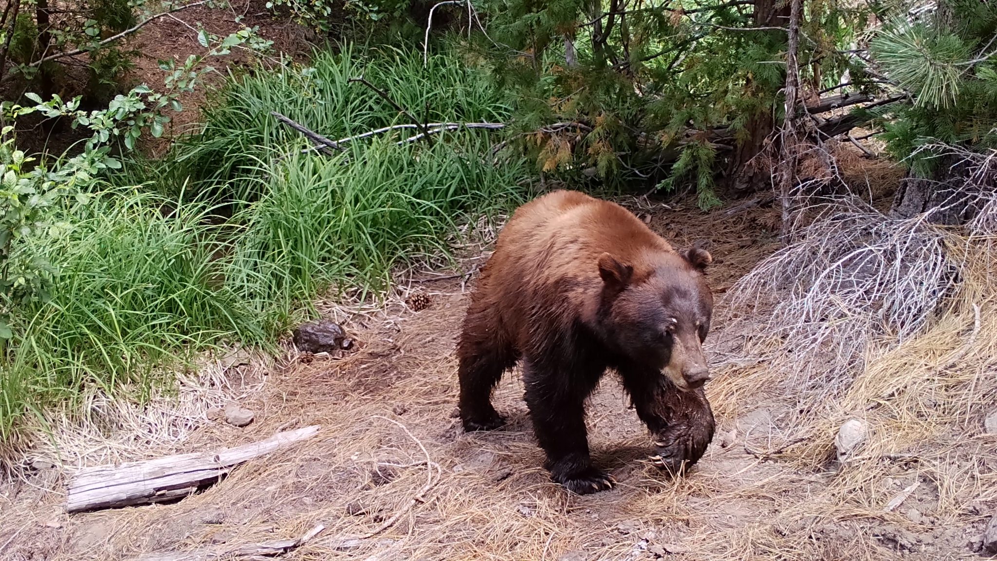 Call for Photo Submissions 2025 Annual Meeting of TWSWS